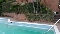 Tranquility Estate Bed And Breakfast 킹스톤 외부 사진