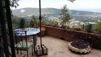 Tranquility Estate Bed And Breakfast 킹스톤 외부 사진