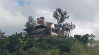 Tranquility Estate Bed And Breakfast 킹스톤 외부 사진