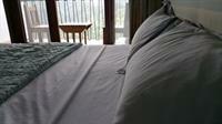 Tranquility Estate Bed And Breakfast 킹스톤 외부 사진