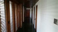 Tranquility Estate Bed And Breakfast 킹스톤 외부 사진